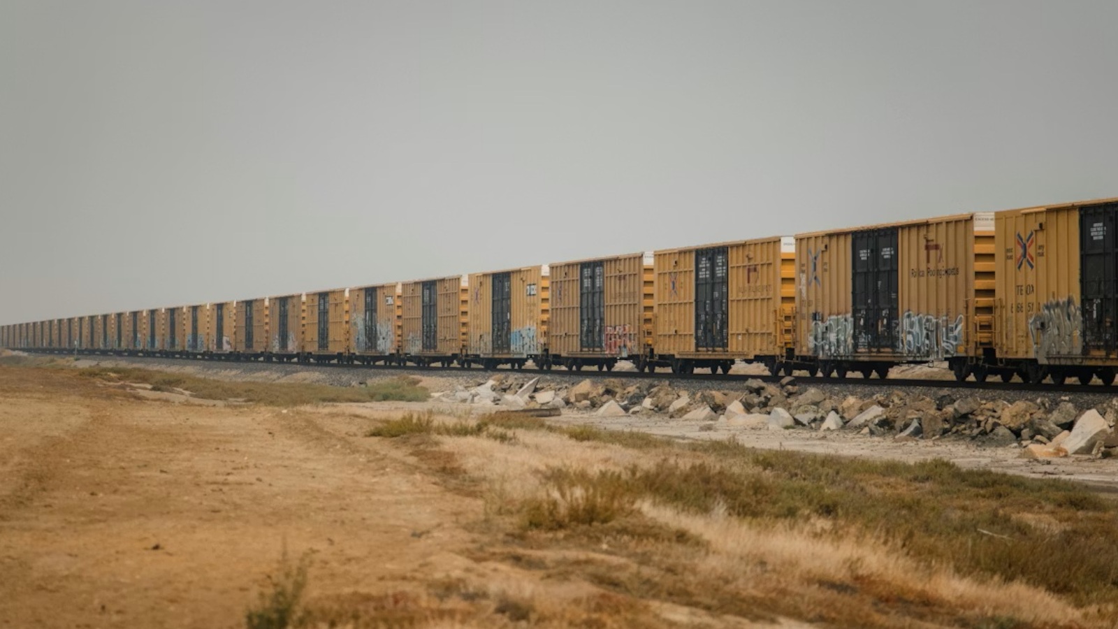 Cargo Rail Transportation in Africa