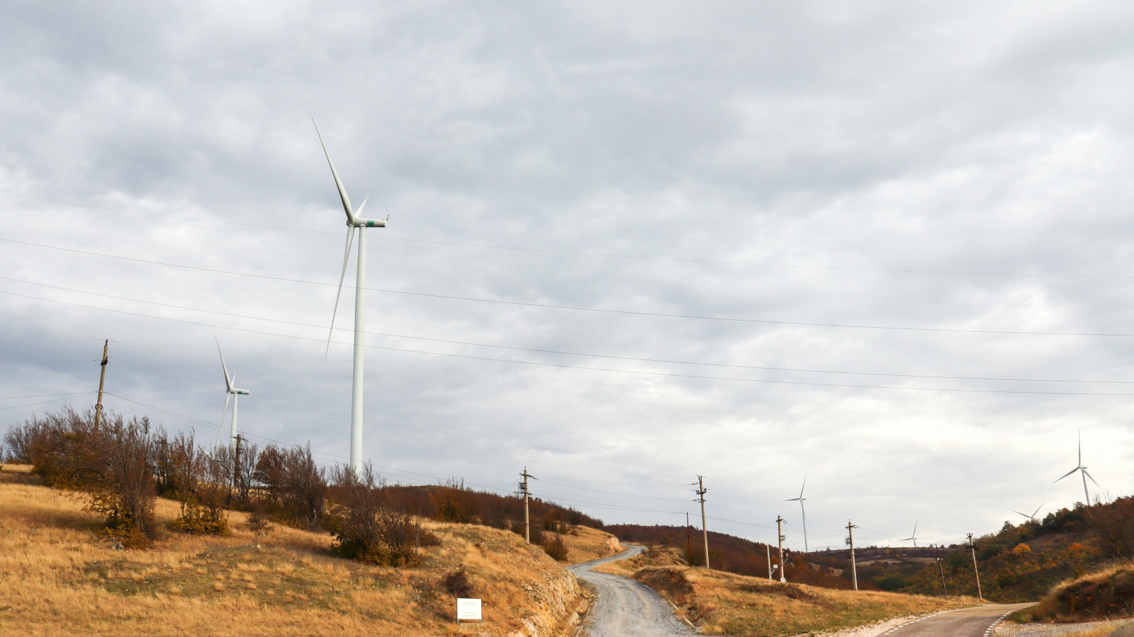 Exploring New Horizons