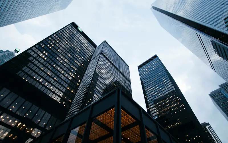 DP Survey Group vision