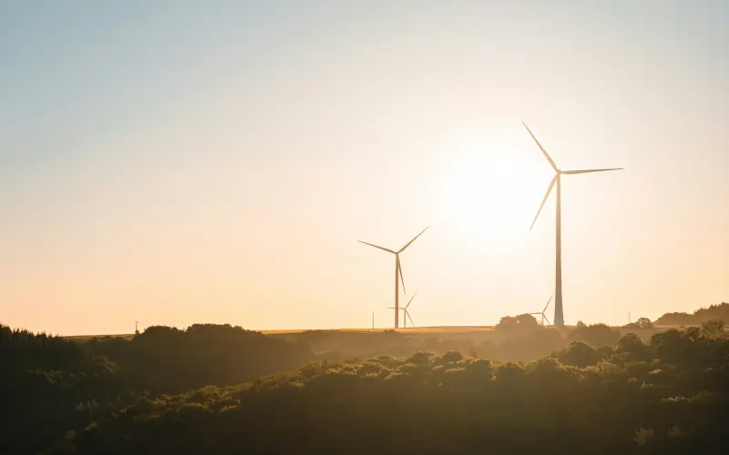 Liability and recovery support